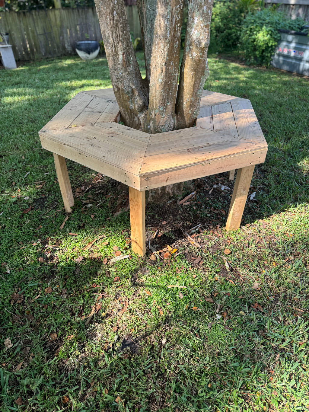 Custom Tree Bench/Table