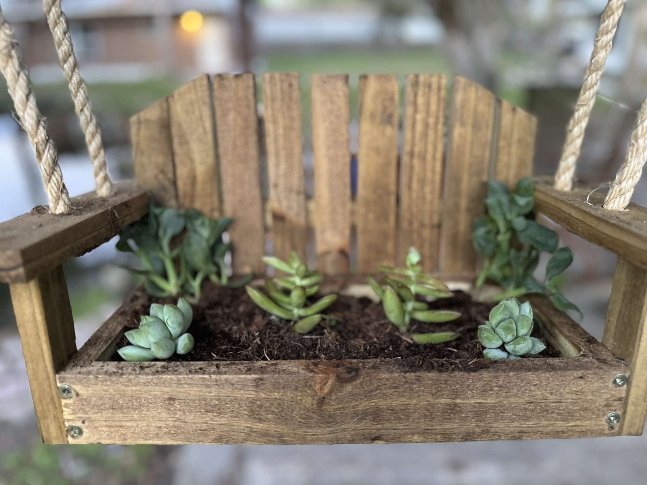 Mini Porch Swing Planter